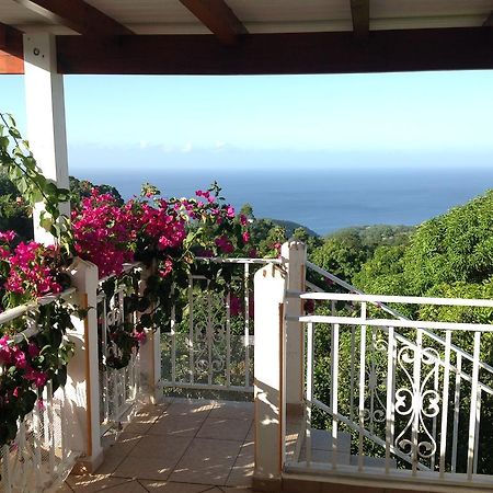 Villa Des Iles Basse-Terre Eksteriør bilde